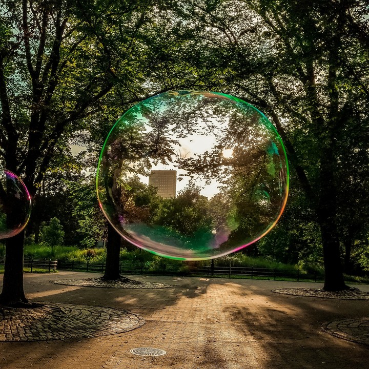 Through Nature's Lens