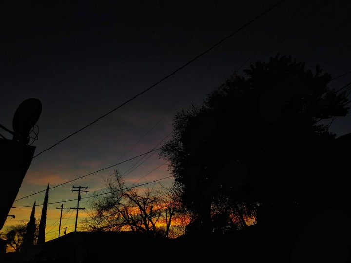 Backyard Sunset