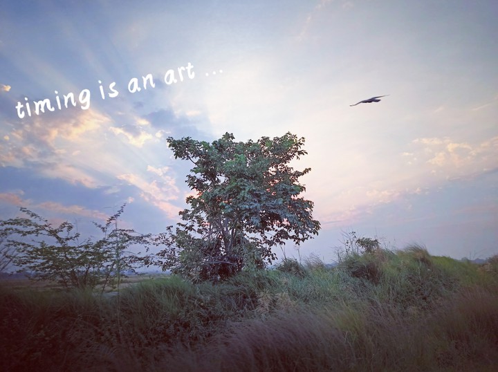 nature