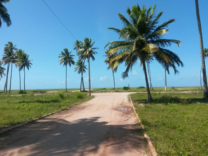 caminho do sonho