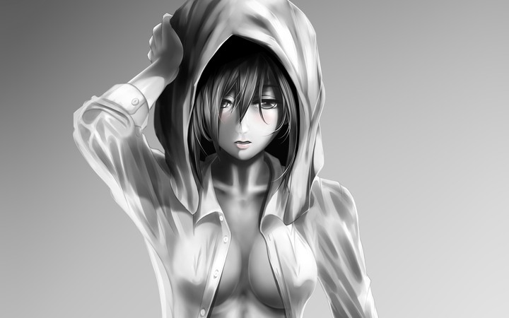 Attack on titan "Mikasa"