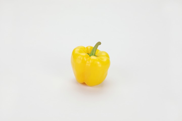 음식이미지