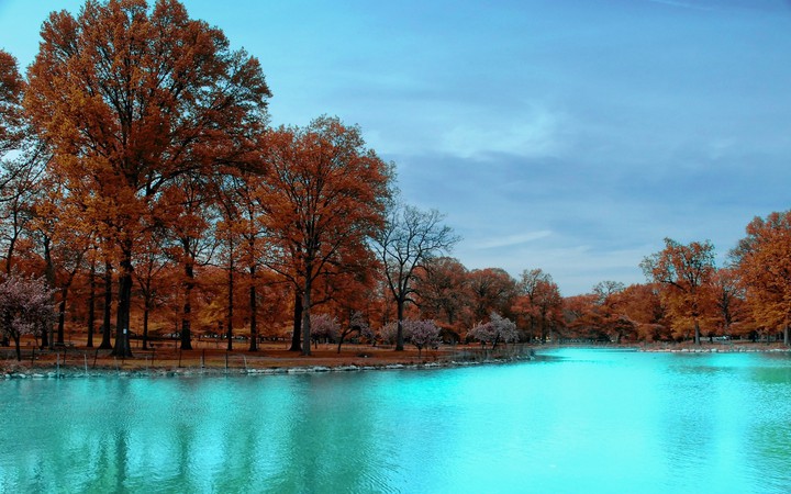 Fall