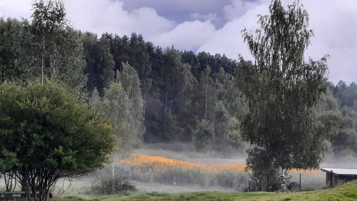 foggggggg