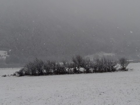 snowing