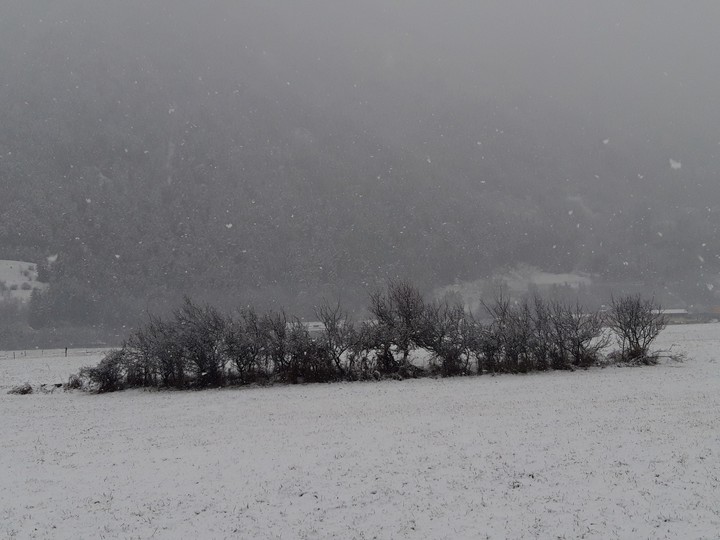 snowing
