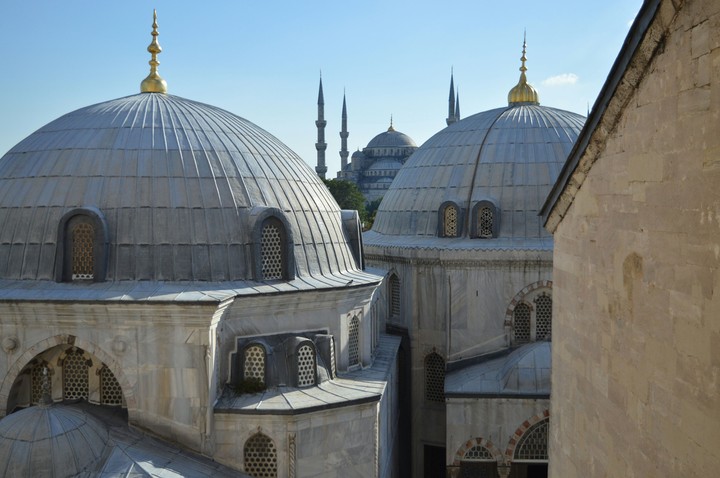 Aya Sofia