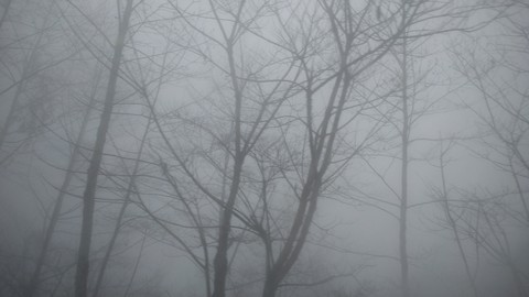grey, 天空桌布