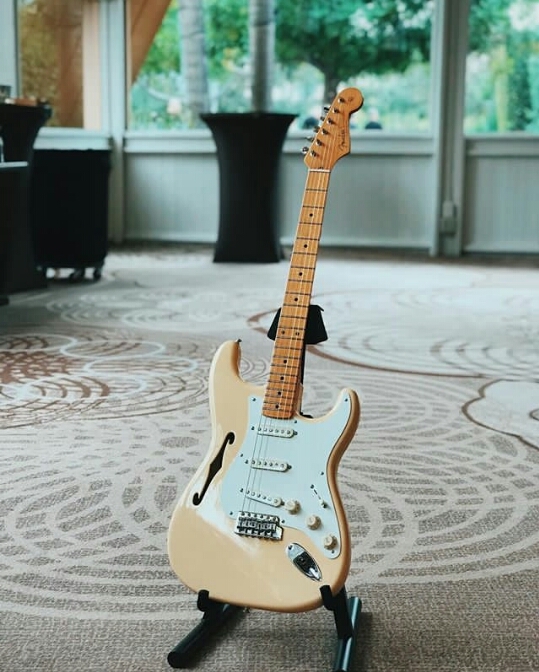 Guitar