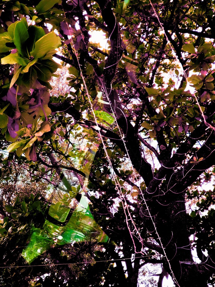 The wonder of nature
