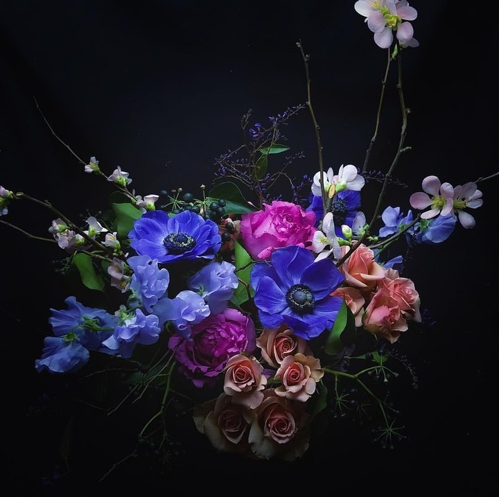 posy