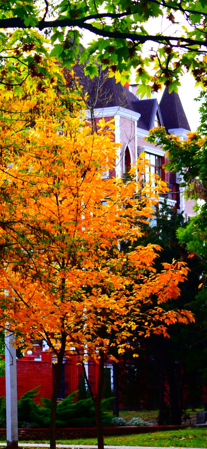 Fall???
