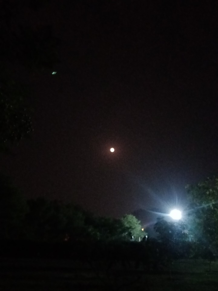 Moon