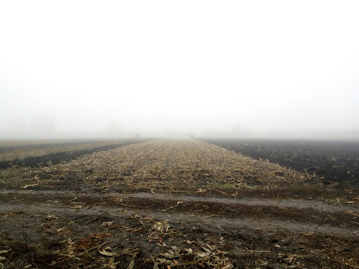 fog