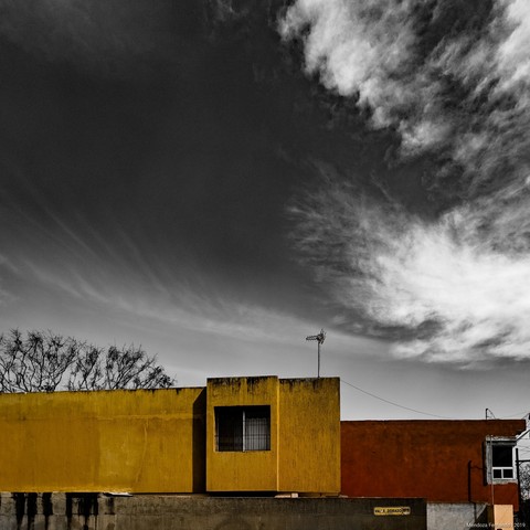 color house