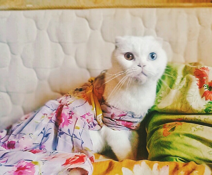 Красивые глазки