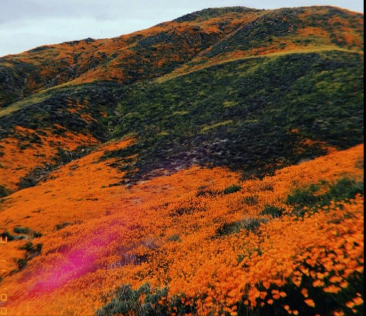 colorful hill