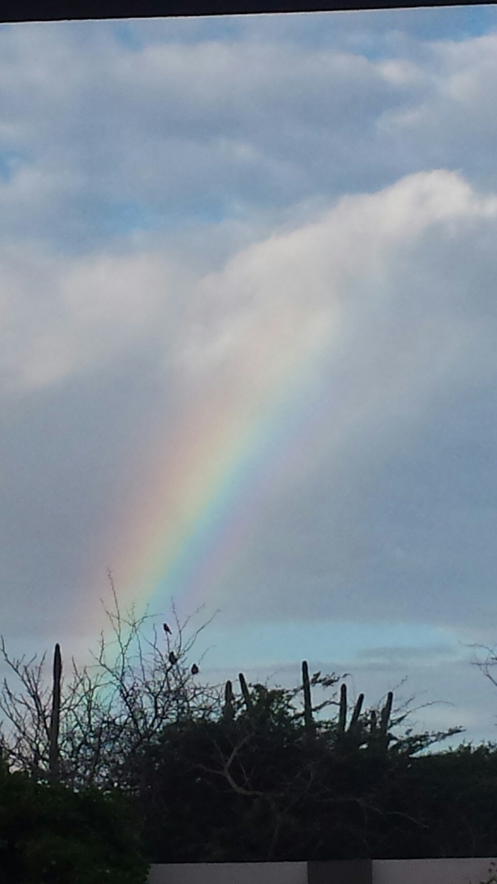 rainbow