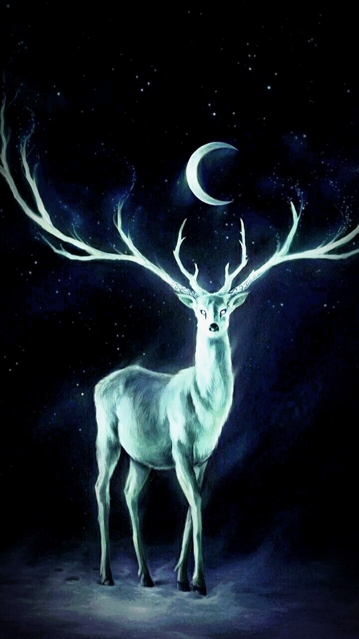 Spirit