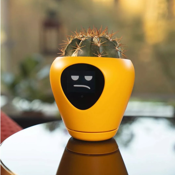 plant reacter