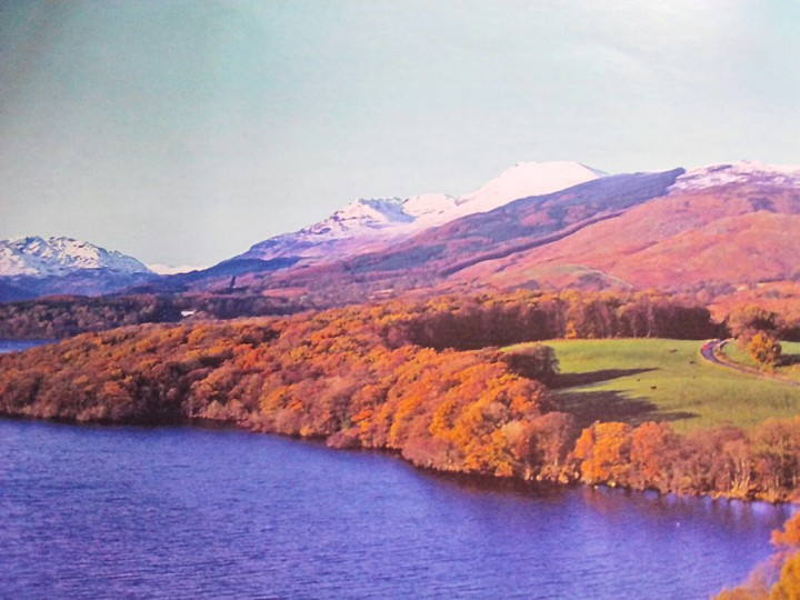 landscape