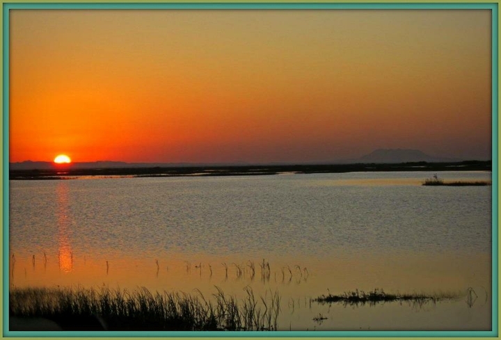 sunset
