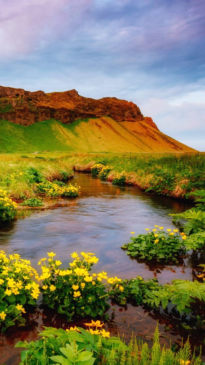 Mountain, flowers and water