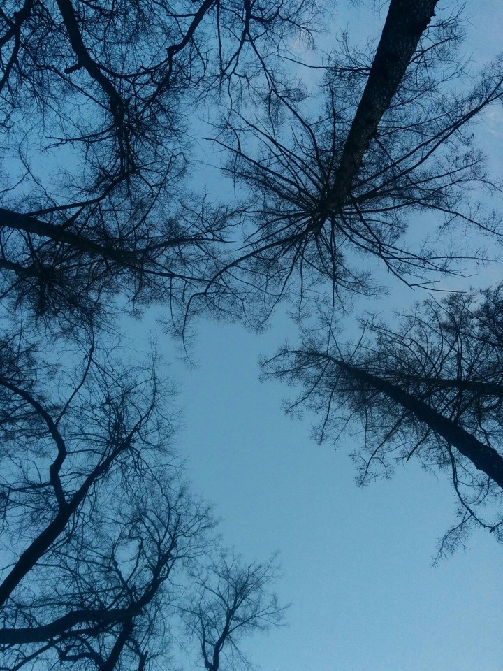 sky
