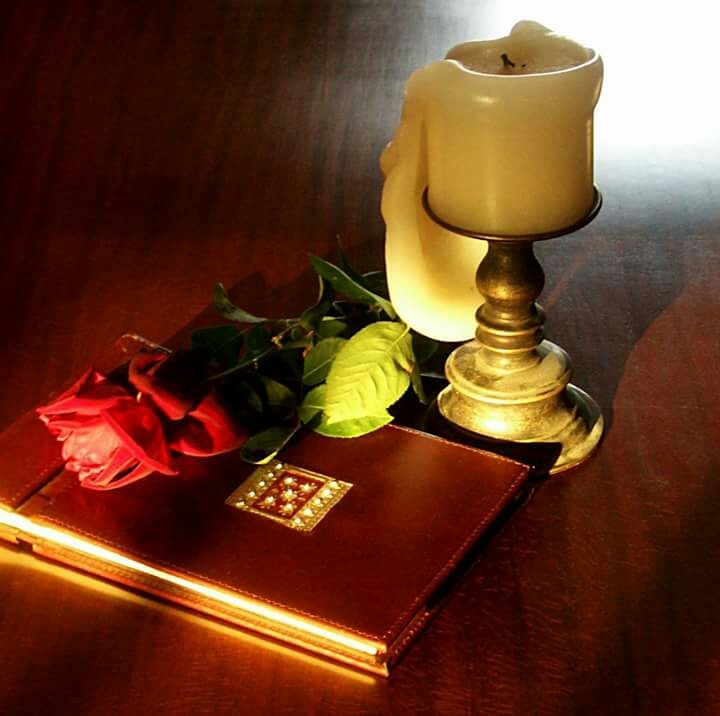 Book with Rose (also loved)