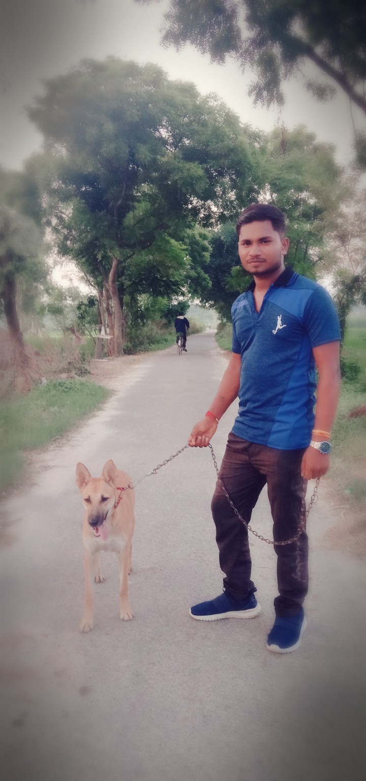 nice dog