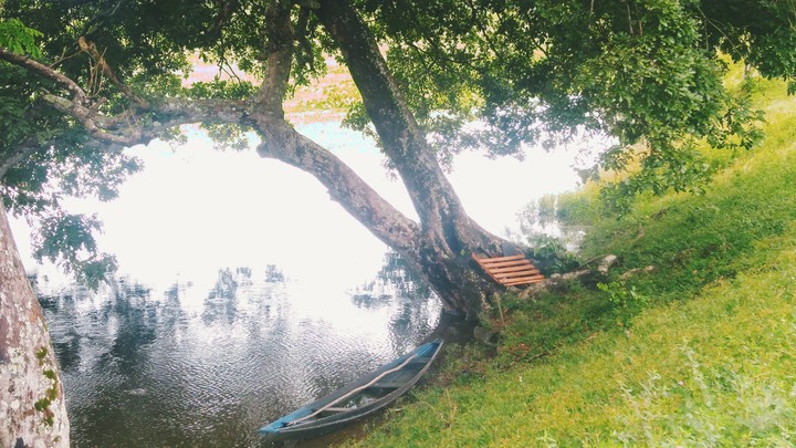 Peaceful lake