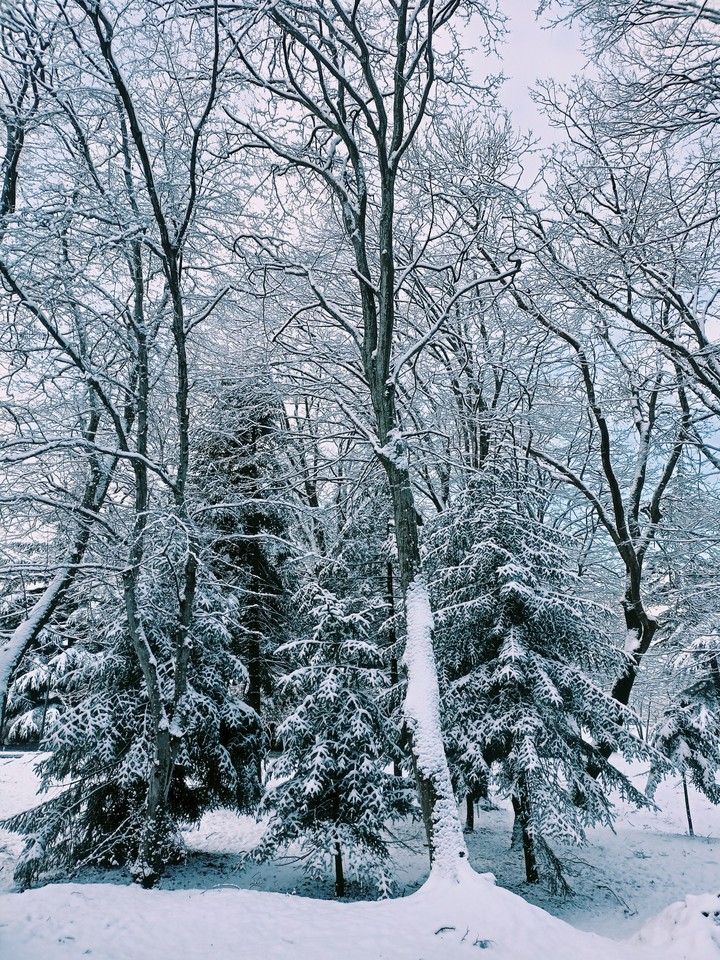 Winter