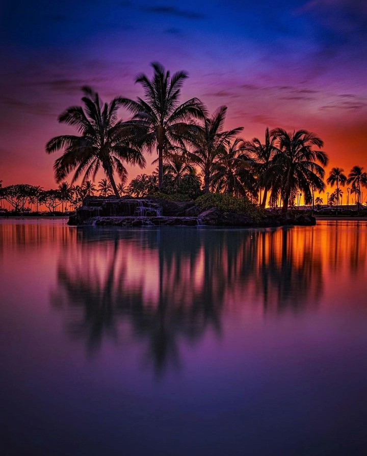Nature's Beauty