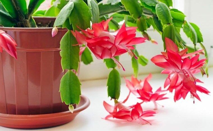 #Nature's Beauty