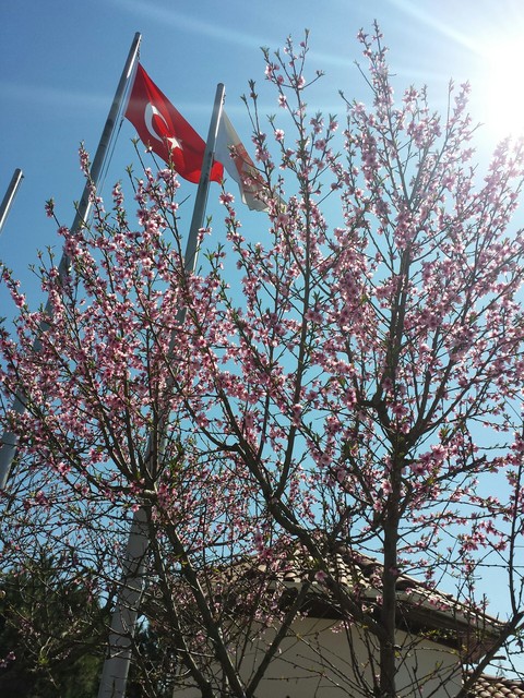 #turkey #turkei #turkiye