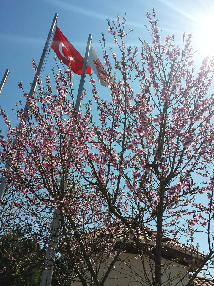 #turkey #turkei #turkiye