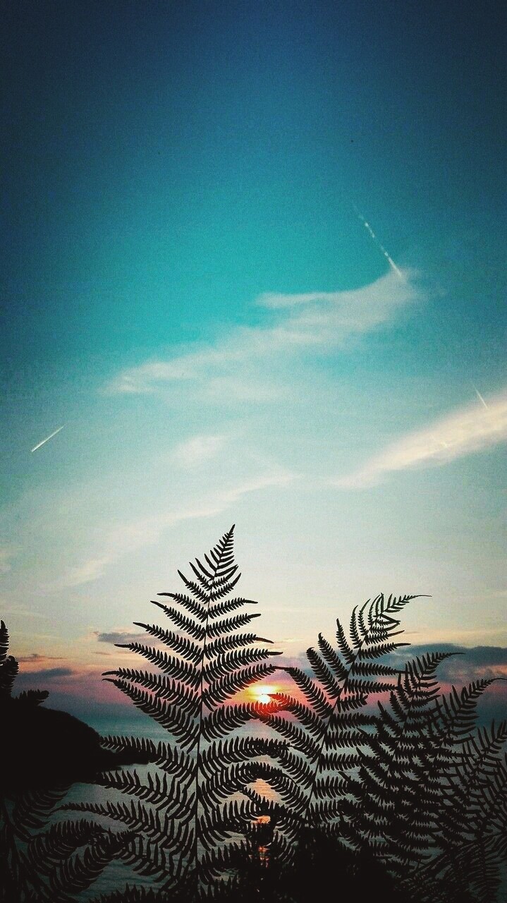 My favorite place