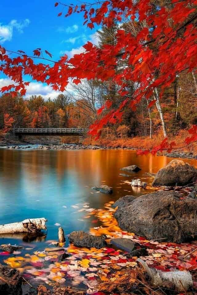 fall is not gone yet..