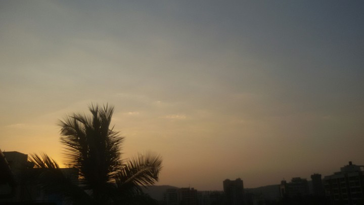 SUNSET PIC WITH COCONUT TREE.....