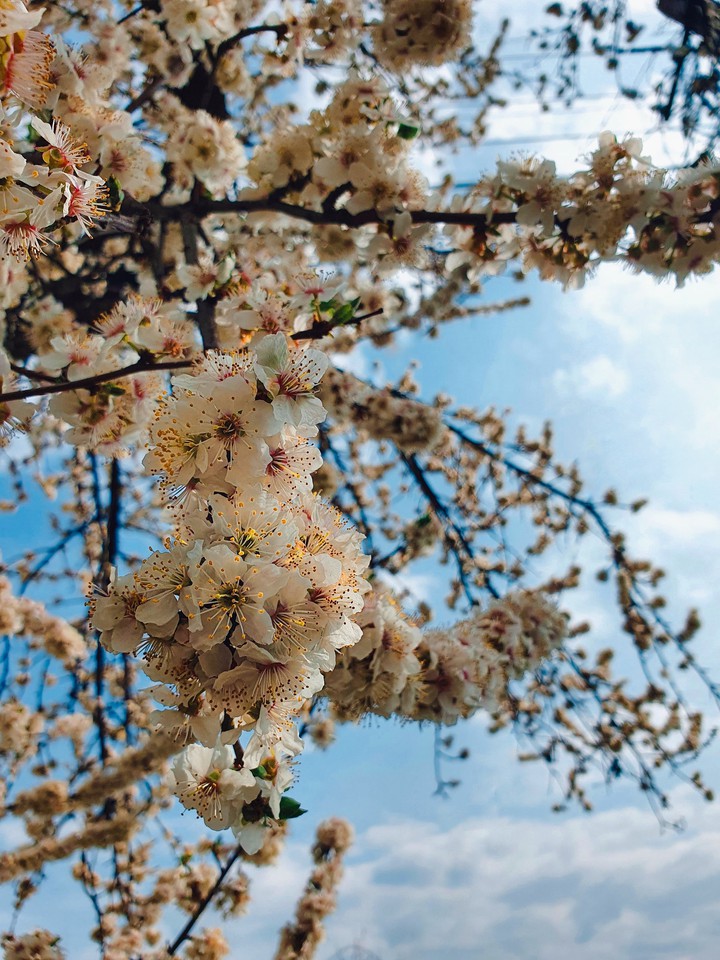 spring is here