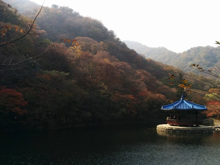 정자
