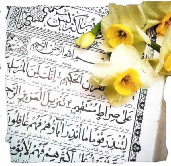 یس کلمات و ایات شریف قرآن