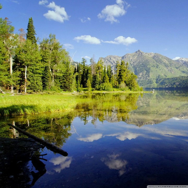 Lake