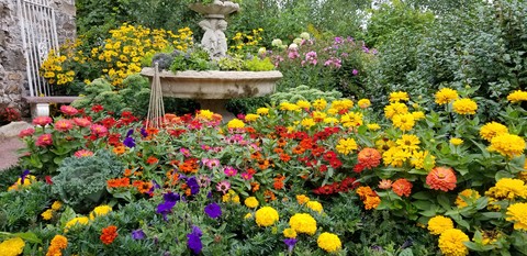 garden