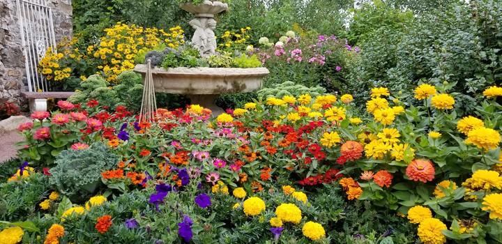 garden