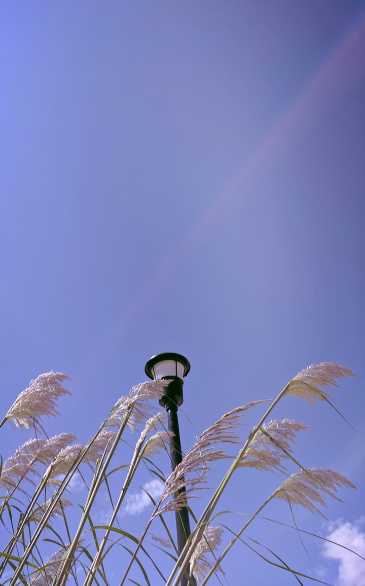 Summer light