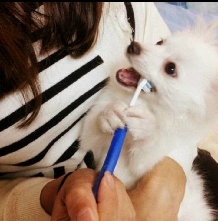Brush time