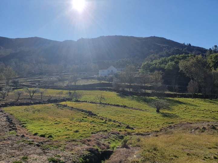 sun