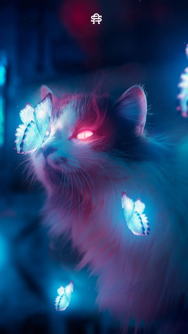 Cat ?