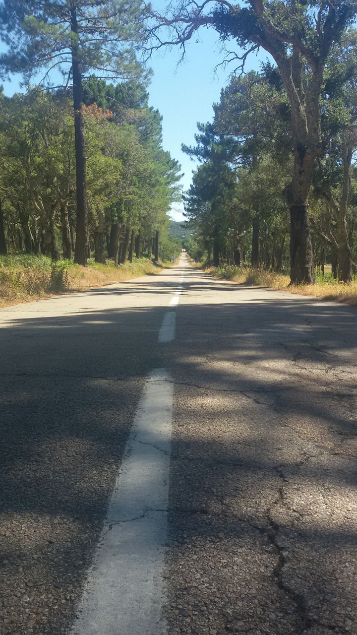 Road street